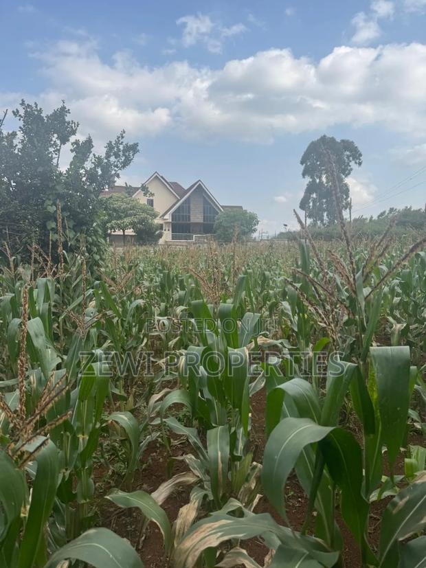 1/4 Acre Kerarapon - thumbnail 7