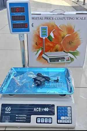30kg Digital Price Computing Scale/Digital Weighing Scale