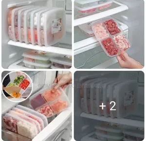 Compartment Fridge Containers