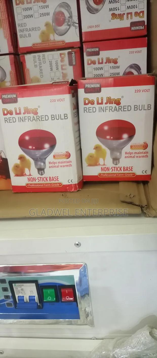 Infrared Bulb For Chicks Light - main view