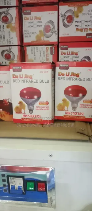 Infrared Electric Bulb For Warmth