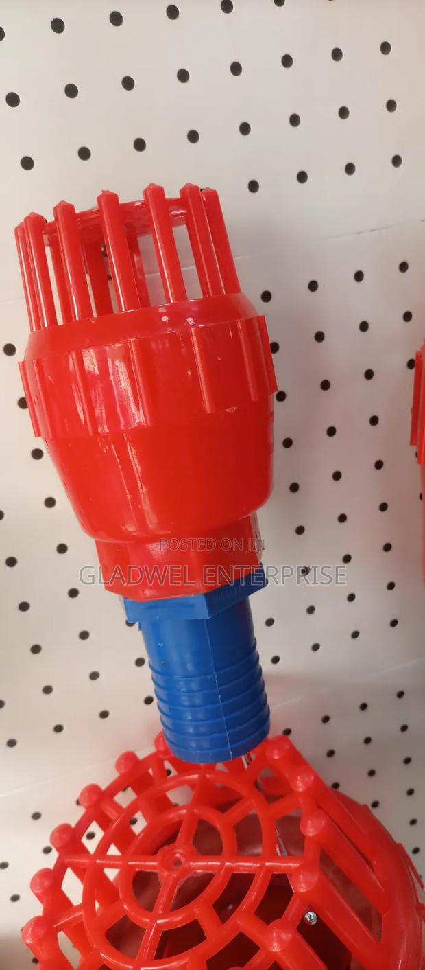 2inch Pump Foot Valve - main view