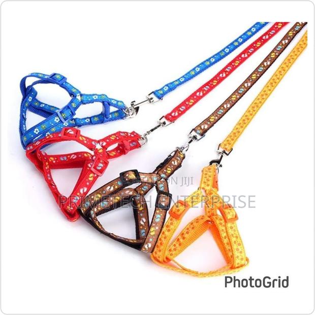 Chiwawa Dog Leashes - main view