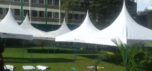 White 50 Seater Tents