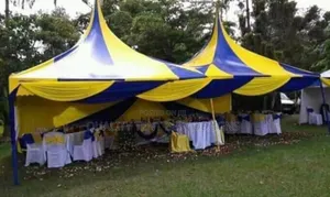 100seats Capacity