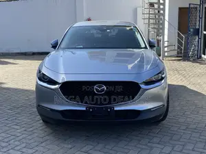 Mazda CX-30 2020 Gray