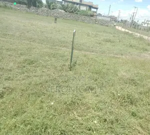 Kamakis Eastern Bypass -Ruiru- Green Valley Estate Controlled Estate