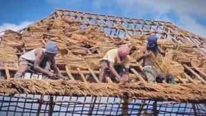 Makuti Supply and Roofing Services