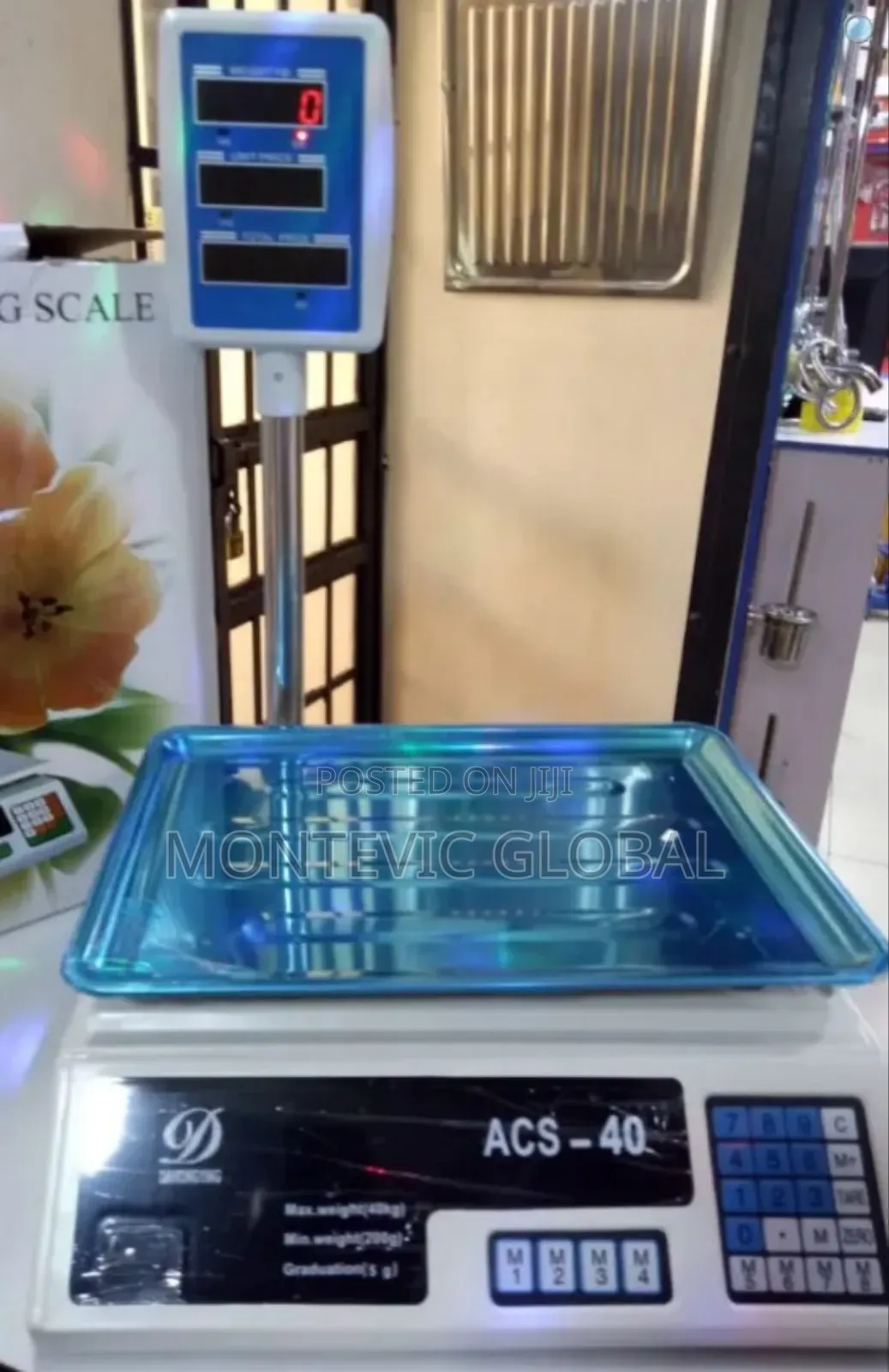 Portable Acs-40 Digital Weighing Scale