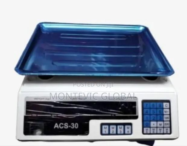 Portable Acs-30 Digital Weighing Scale - main view