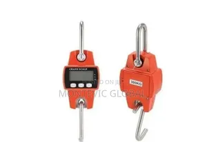 Portable Mini Crane Scale 300kgs