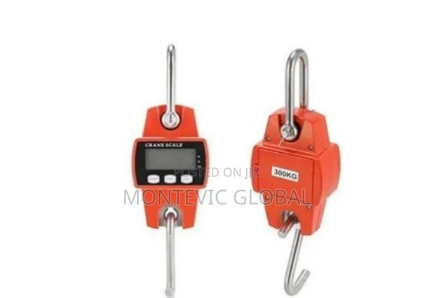 Portable Mini Crane Scale 300kgs