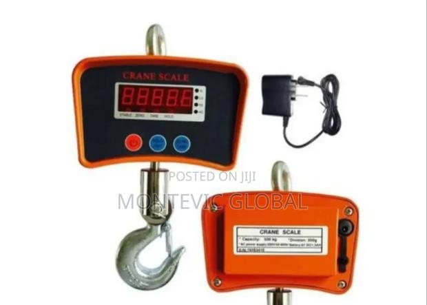 Portable Hanging Crane Scale 500kgs - main view