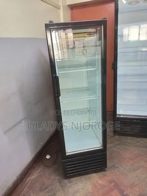 Realiable Display Fridge 300l (Black White)