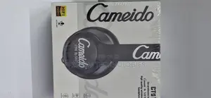 Wireless Headphone Headset With Mic