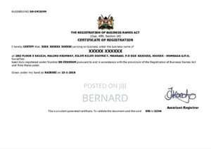 Business Registration Services