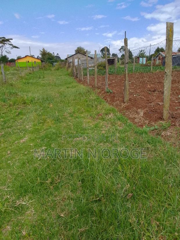 1⁄4 (100 by 100) Murengeti - main view