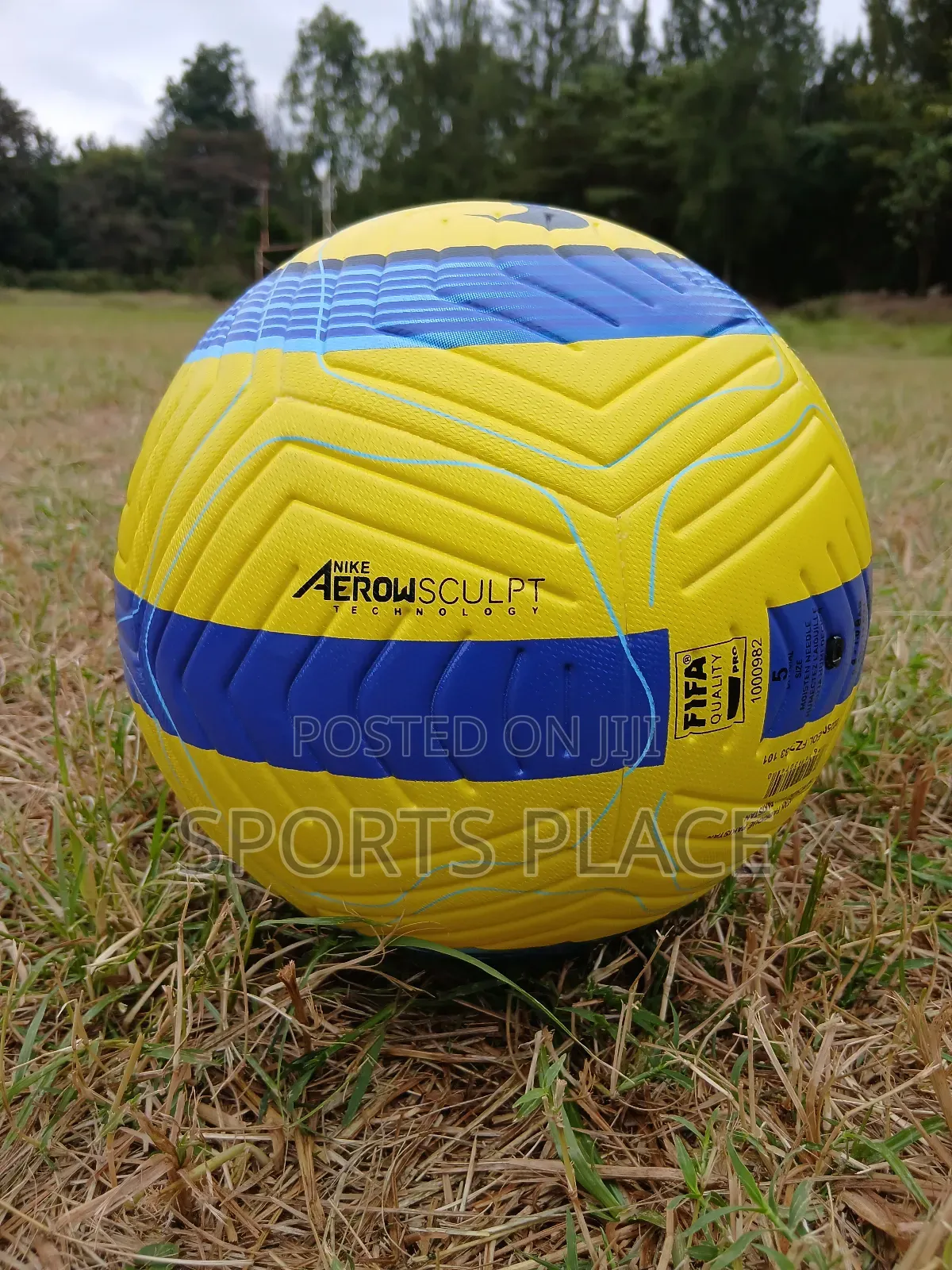 New Nike Flight Premier League Ball 2025