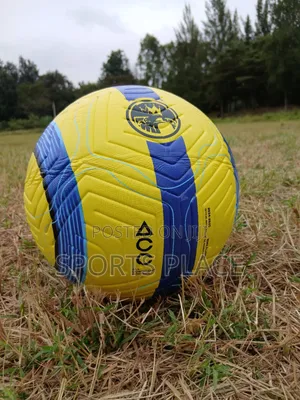 New Nike Flight Premier League Ball 2025