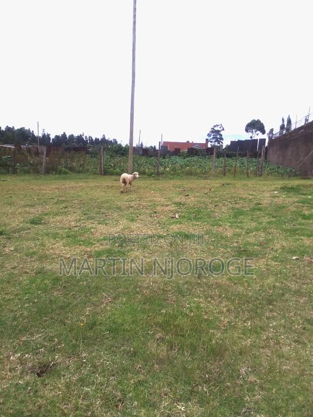 50 by 100 Engineer Town - thumbnail 3