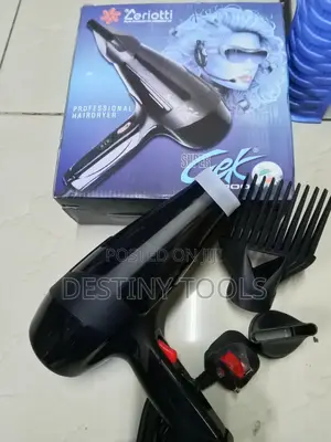 Professional Blowdry Ceriotti