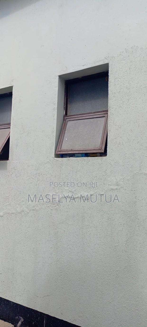 Projection Windows - main view