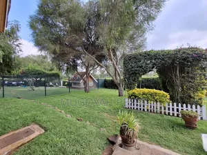 4bdrm Bungalow in Sk, Limuru for rent