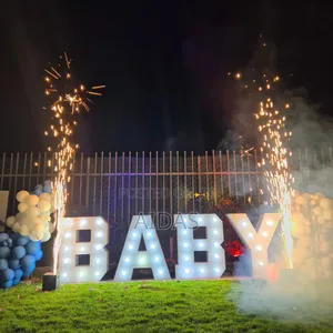 Gender Reveal Set Up Hire
