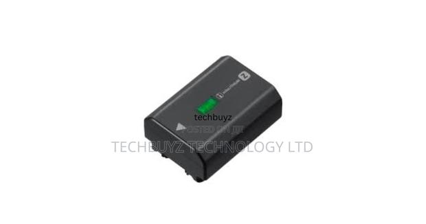 Sony NPF Z100 - main view
