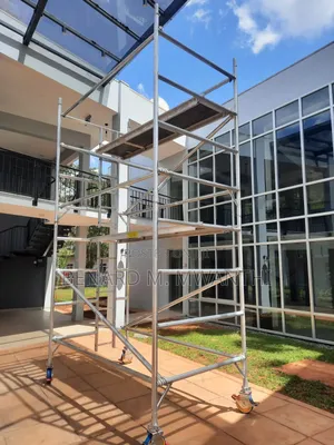 Scaffolding Ladders