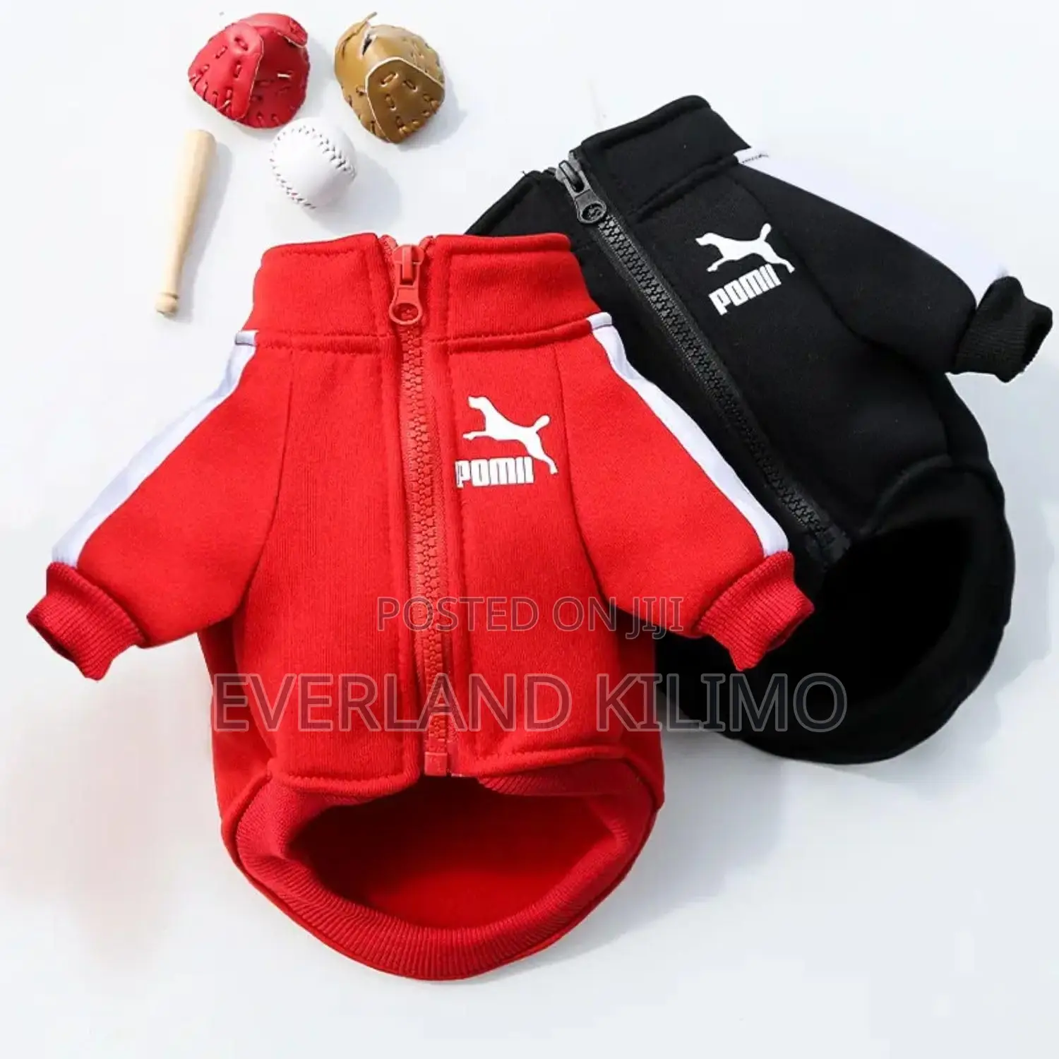 Cute and Cozy Dog Clothes