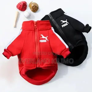 Cute and Cozy Dog Clothes