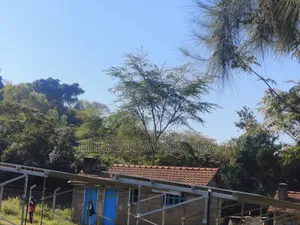 Hybrid Solar Water Pumping Systems Solutions for Boreholes.
