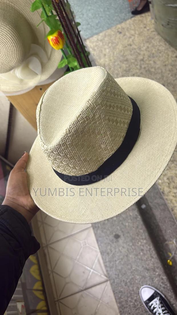 Men's Panama Hat at 800