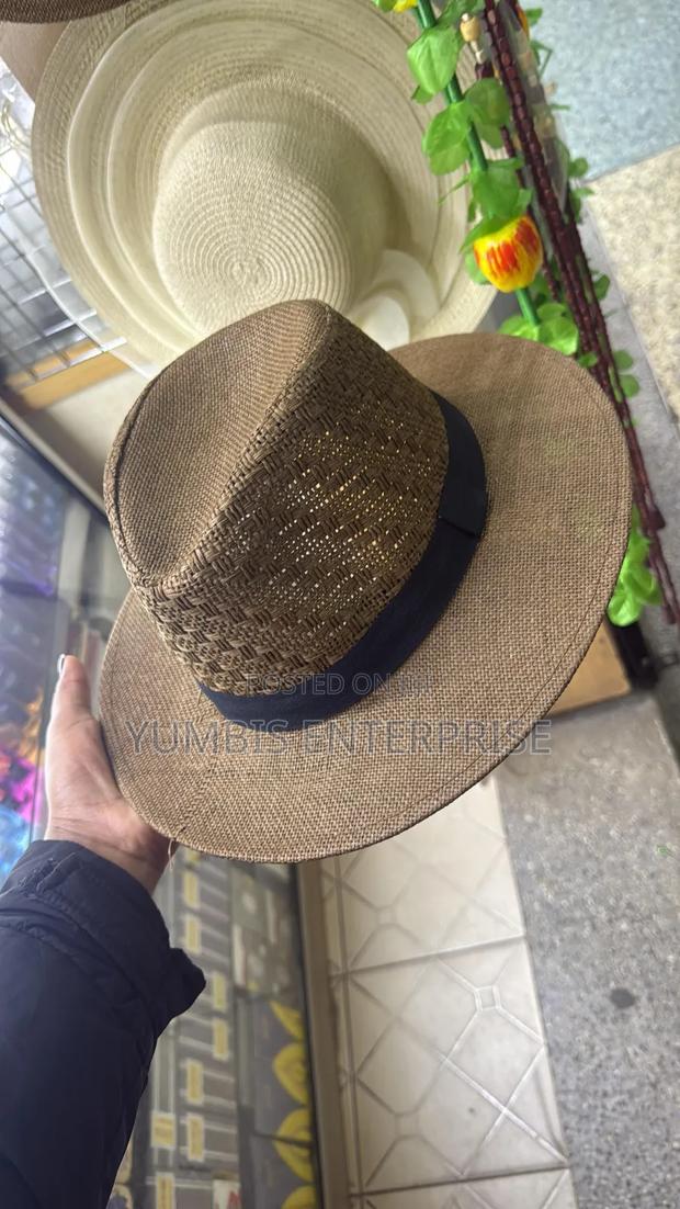 Dark Brown, Light Brown Panama Hats for Men at 800