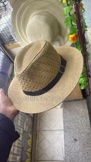 Dark Brown, Light Brown Panama Hats for Men at 800