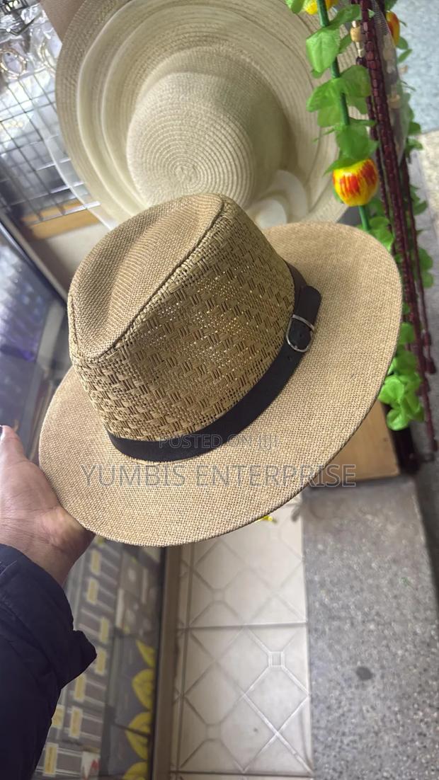 Dark Brown, Light Brown Panama Hats for Men at 800 - thumbnail 2