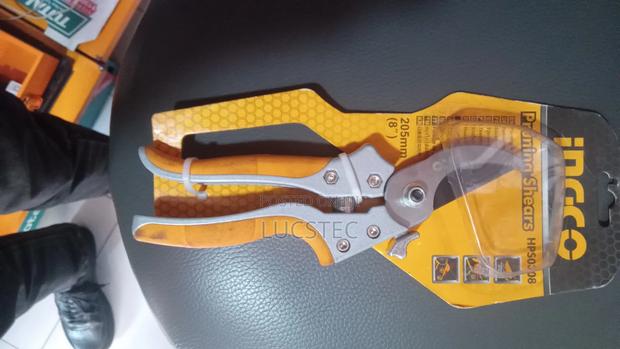 Pruning Shear