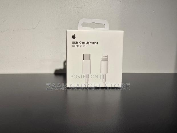 Apple Type C to Lightning Cable - main view
