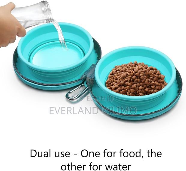 2-in-1 Collapsible Silicone Pet Bowl