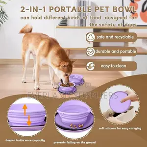 Compartment Non-Slip Dog Cat Dish for Travel