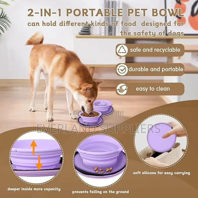 Compartment Non-Slip Dog Cat Dish for Travel
