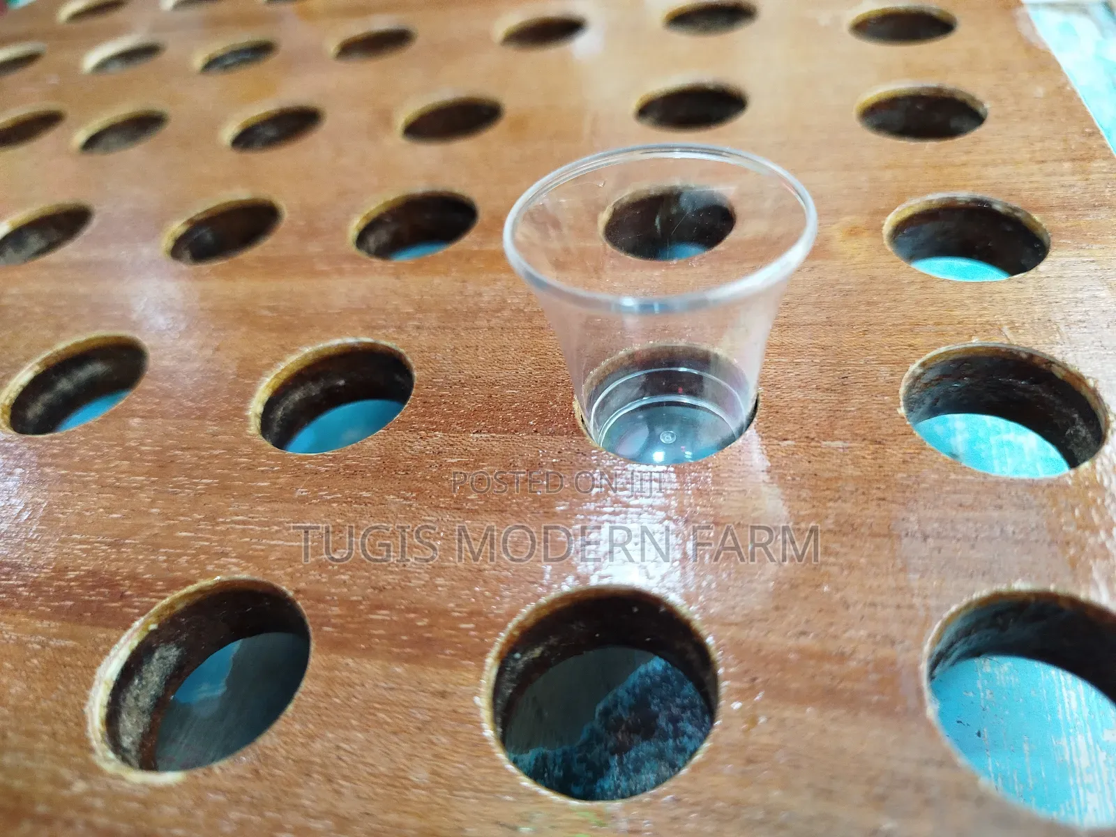 Holy Communion Tray - High Quality for 50 Cups