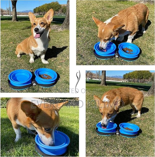 Portable Collapsible Double Silicone Pet Bowls - main view