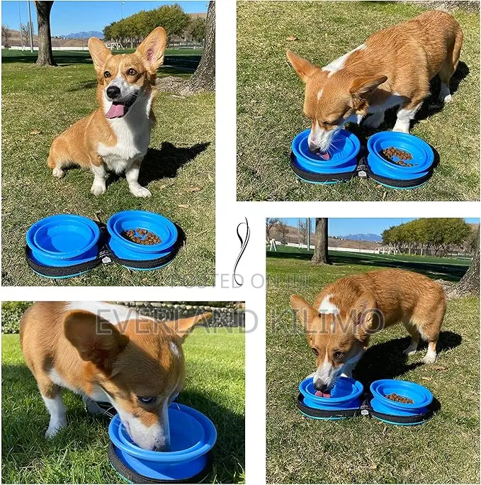 Portable Collapsible Double Silicone Pet Bowls