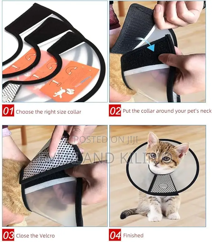 Flexible Plastic Cone for Dogs After Surgery