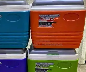 Stay Fresh, Stay Cool – 4.5 Litres Pacific Cooler Box