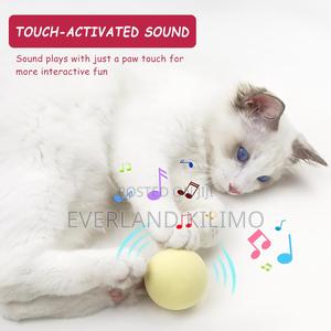 Cat Toy Balls With Sound - main view