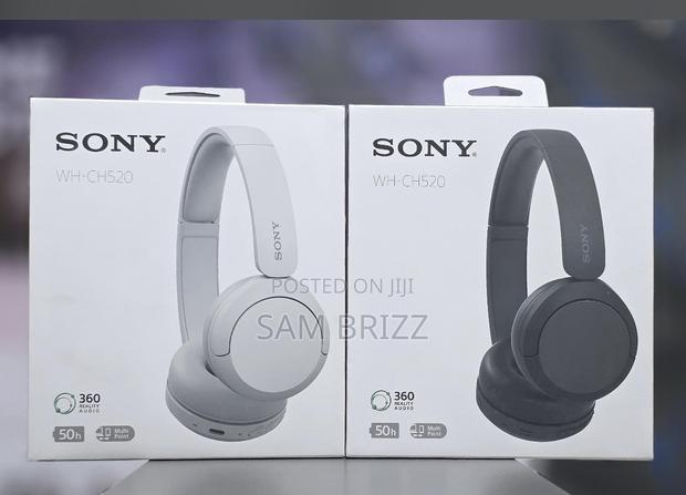 Sony Wh-Ch520 - main view