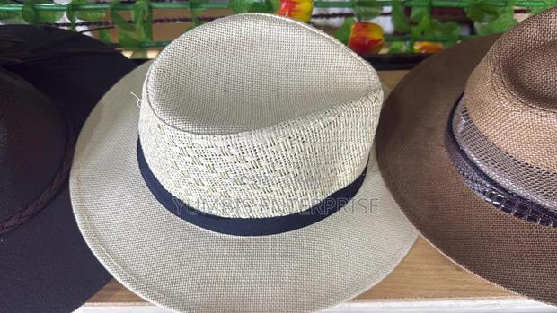 Men's Panama Hat at 800 - thumbnail 2